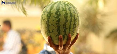 最新吃瓜事件,神秘恋情曝光，明星夫妻疑分手